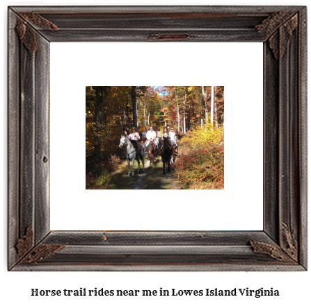 horse trail rides near me in Lowes Island, Virginia